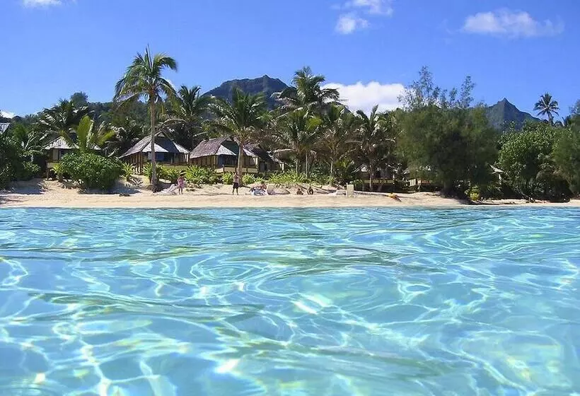 Fotos del hotel Palm Grove:  13