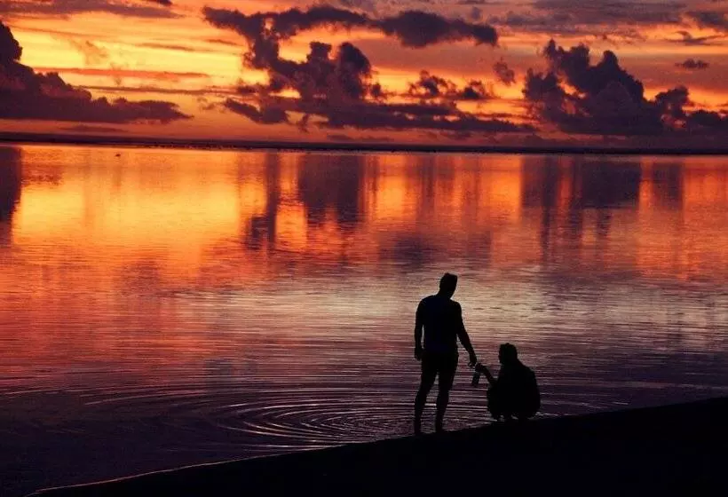 Fotos del hotel Palm Grove:  6