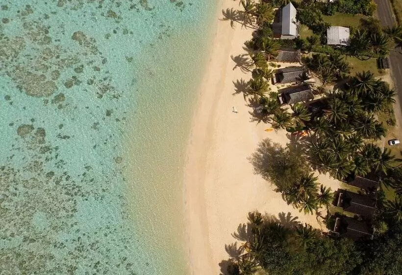 Fotos del hotel Palm Grove:  25