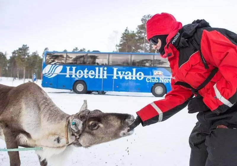 Fotos del hotel Ivalo:  13