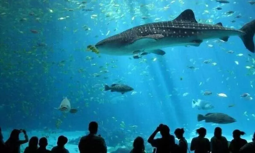 Novotel Bangkok On Siam Square