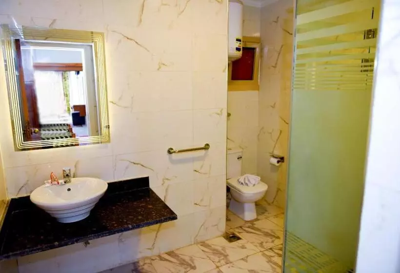 Fotos del hotel Regency  Alexandria Family Only:  6