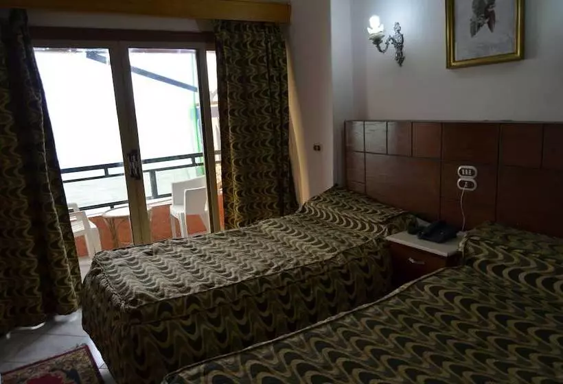 Fotos del hotel Regency  Alexandria Family Only:  12