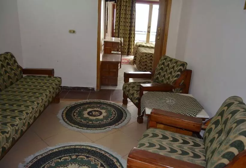 Fotos del hotel Regency  Alexandria Family Only:  21