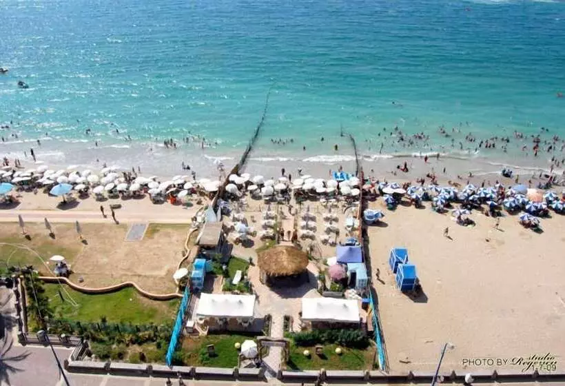 Fotos del hotel Regency  Alexandria Family Only:  11