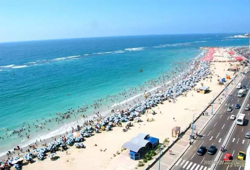 Fotos del hotel Regency  Alexandria Family Only:  7