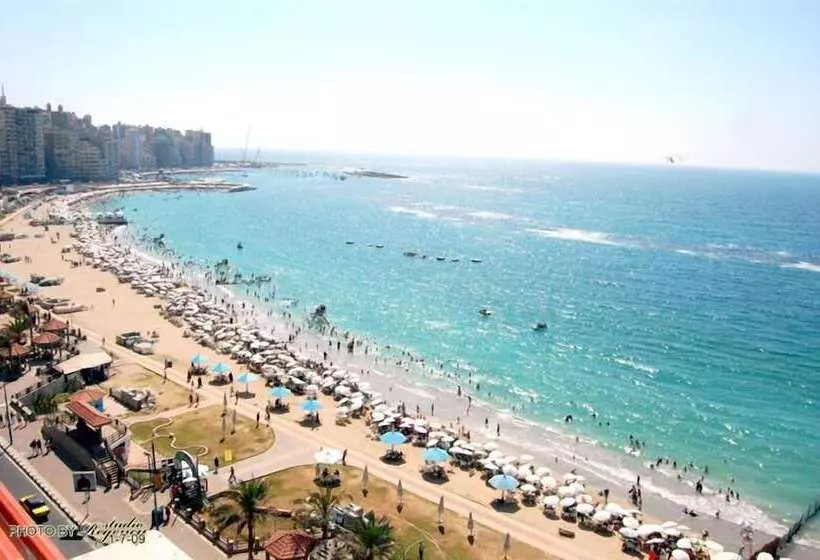 Fotos del hotel Regency  Alexandria Family Only:  13