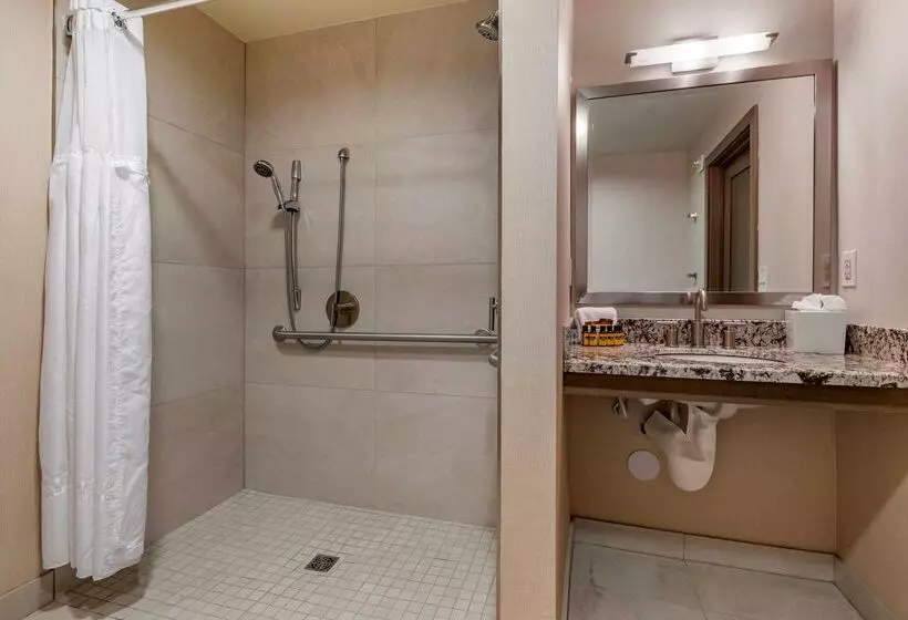 Fotos del hotel Best Western Plus Island Palms Hotel & Marina:  6