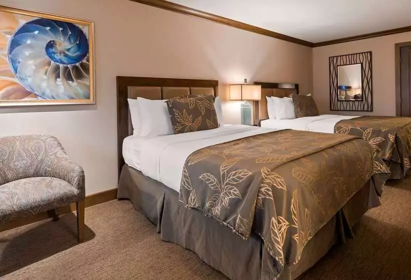 Fotos del hotel Best Western Plus Island Palms Hotel & Marina:  15