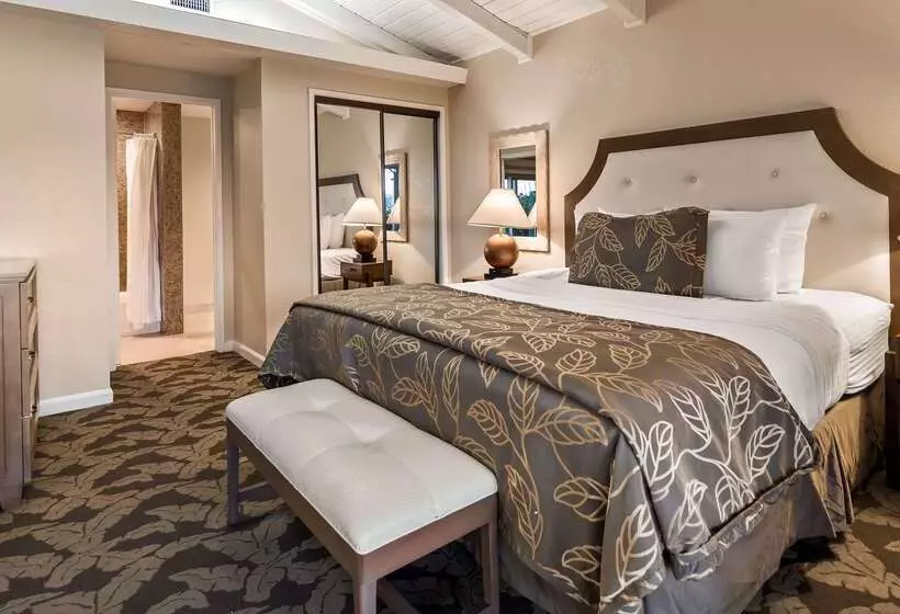 Fotos del hotel Best Western Plus Island Palms Hotel & Marina:  16