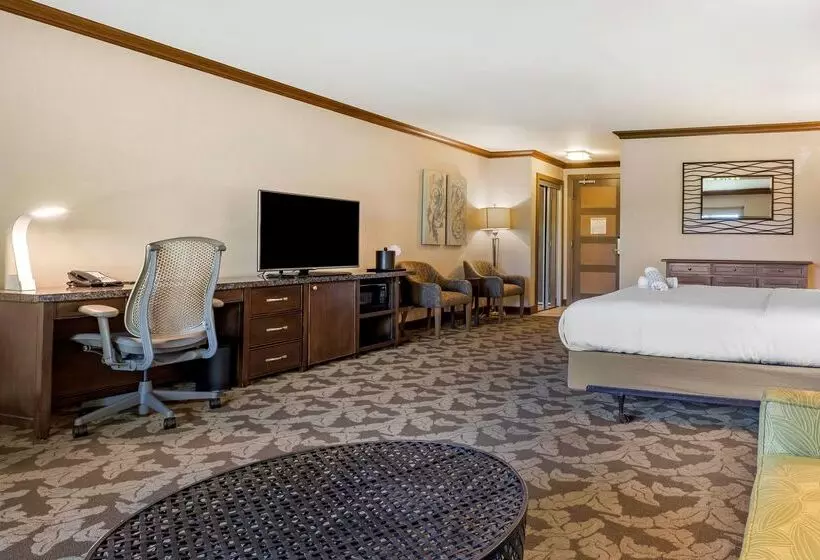 Fotos del hotel Best Western Plus Island Palms Hotel & Marina:  22