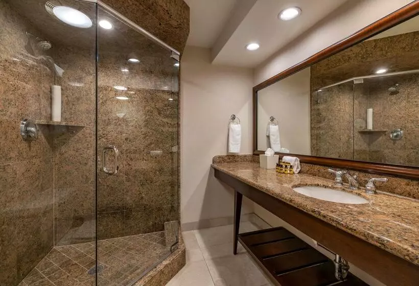 Fotos del hotel Best Western Plus Island Palms Hotel & Marina:  10