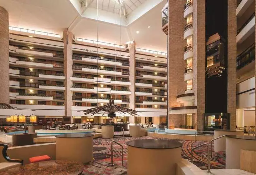 Fotos del hotel Embassy Suites By Hilton Orlando International Drive Icon Park:  19