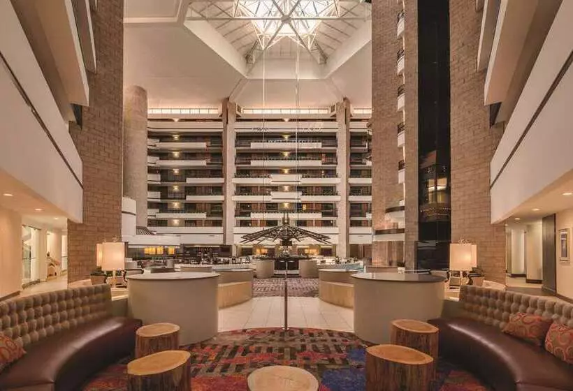 Fotos del hotel Embassy Suites By Hilton Orlando International Drive Icon Park:  14