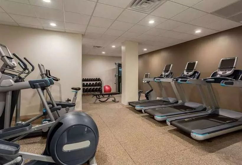 Fotos del hotel Embassy Suites By Hilton Orlando International Drive Icon Park:  6