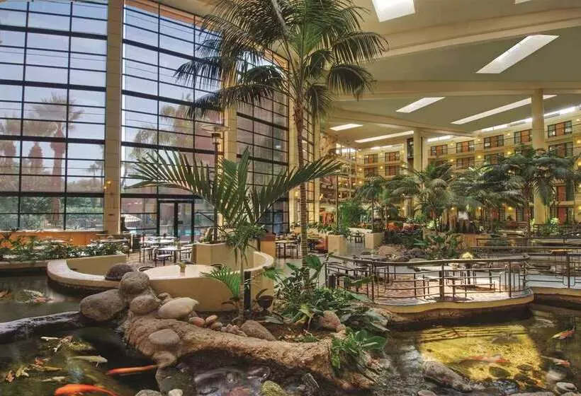 Fotos del hotel Embassy Suites Phoenix - Biltmore:  15