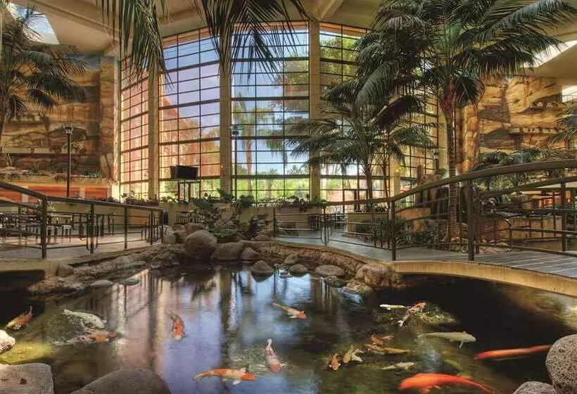 Fotos del hotel Embassy Suites Phoenix - Biltmore:  24