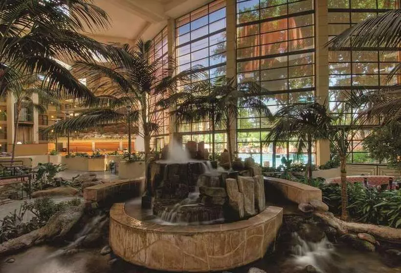 Fotos del hotel Embassy Suites Phoenix - Biltmore:  22