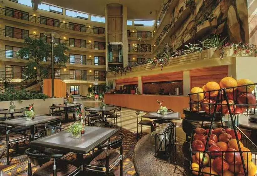 Fotos del hotel Embassy Suites Phoenix - Biltmore:  20