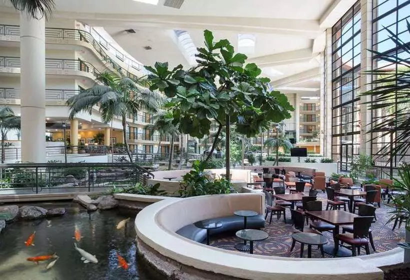 Fotos del hotel Embassy Suites Phoenix - Biltmore:  25