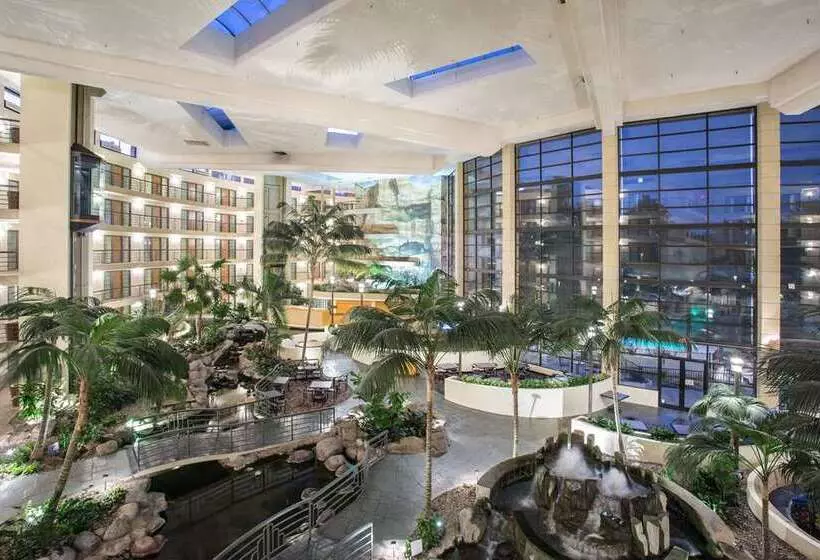 Fotos del hotel Embassy Suites Phoenix - Biltmore:  13