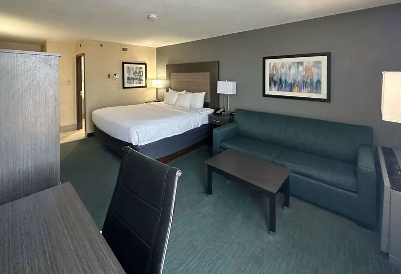 Fotos del hotel Best Western Plus Dallas Love Field North:  19