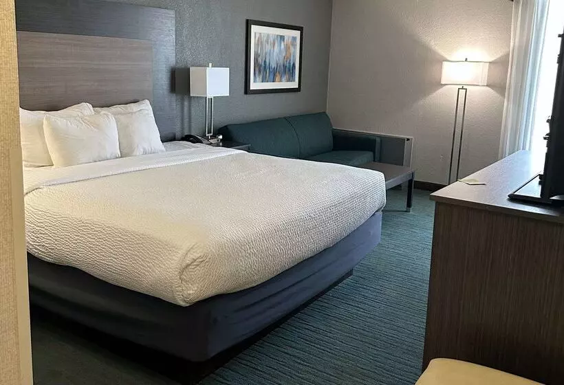 Fotos del hotel Best Western Plus Dallas Love Field North:  20