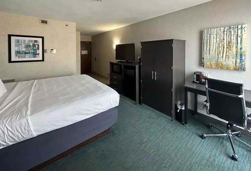 Fotos del hotel Best Western Plus Dallas Love Field North:  13