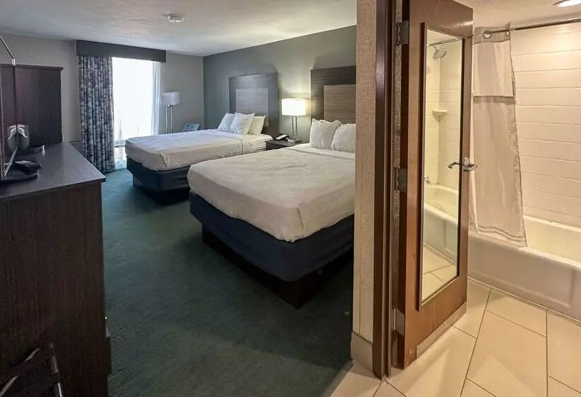 Fotos del hotel Best Western Plus Dallas Love Field North:  8