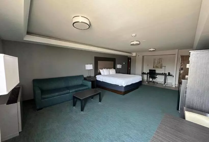 Fotos del hotel Best Western Plus Dallas Love Field North:  25