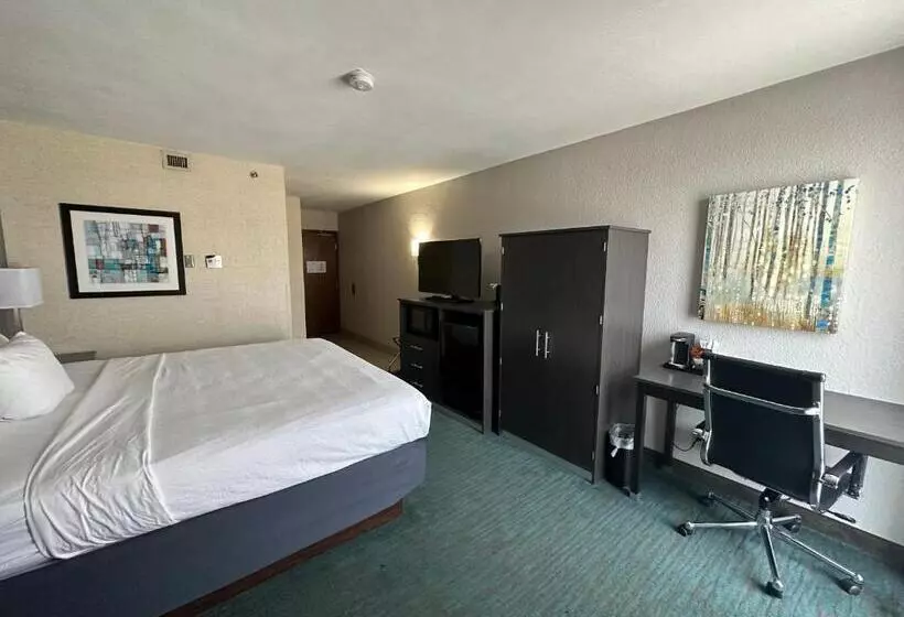 Fotos del hotel Best Western Plus Dallas Love Field North:  10