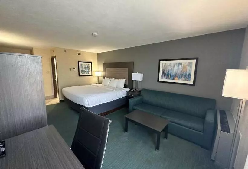 Fotos del hotel Best Western Plus Dallas Love Field North:  15