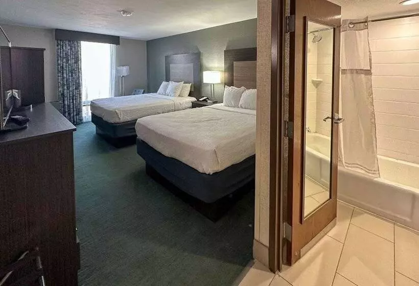 Fotos del hotel Best Western Plus Dallas Love Field North:  14