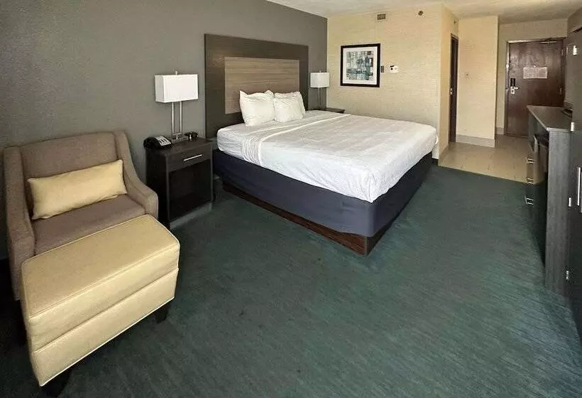 Fotos del hotel Best Western Plus Dallas Love Field North:  24