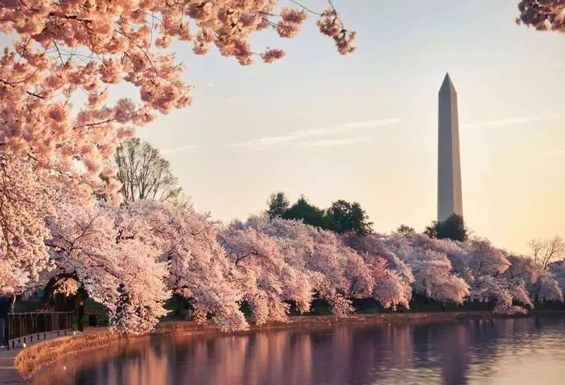 Fotos del hotel Grand Hyatt Washington:  12