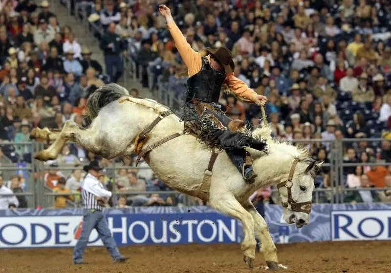 Fotos del hotel Crowne Plaza Hotel Houston River Oaks, An Ihg:  7