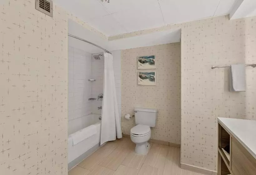 Fotos del hotel Crowne Plaza Hotel Houston River Oaks, An Ihg:  6