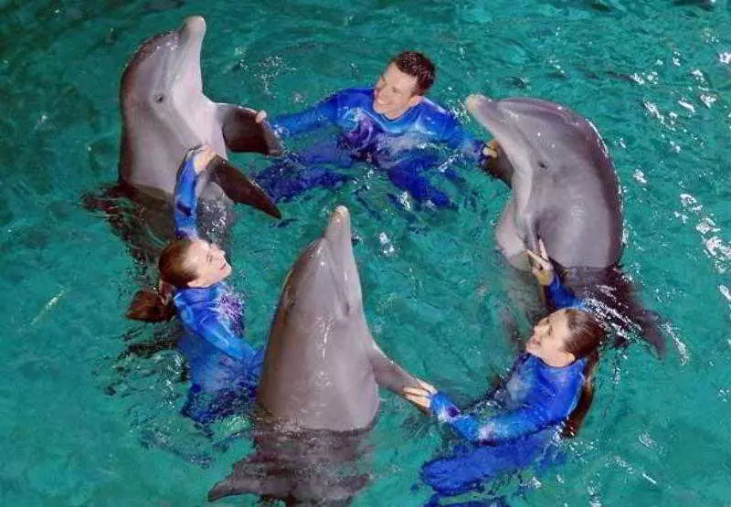 Fotos del hotel Atlanta Marriott Suites Midtown:  7