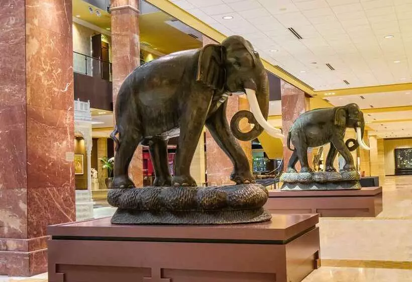 Fotos del hotel Hilton Anatole:  23