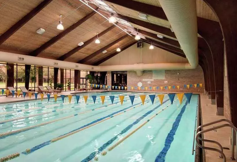 Fotos del hotel Hilton Anatole:  4