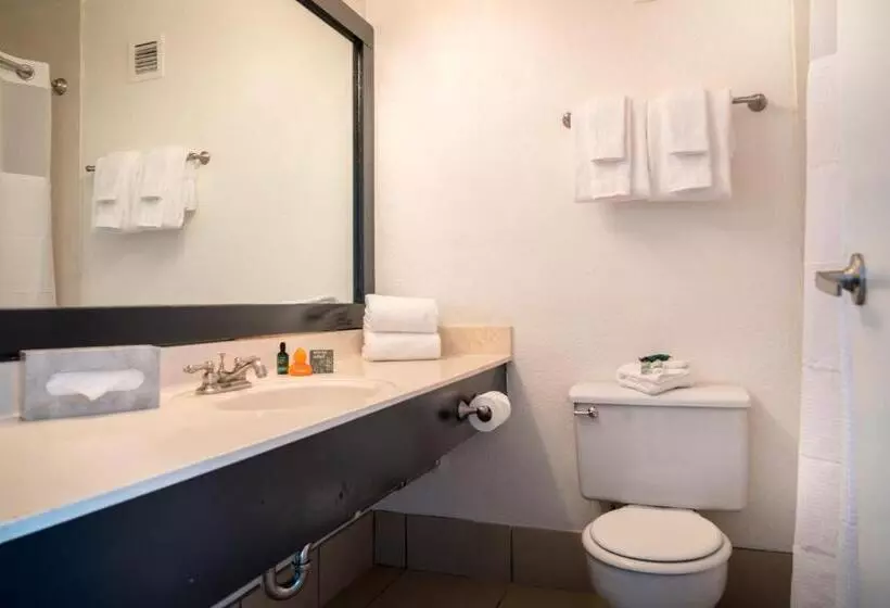 Fotos del hotel OYO Hotel and Casino Las Vegas:  6