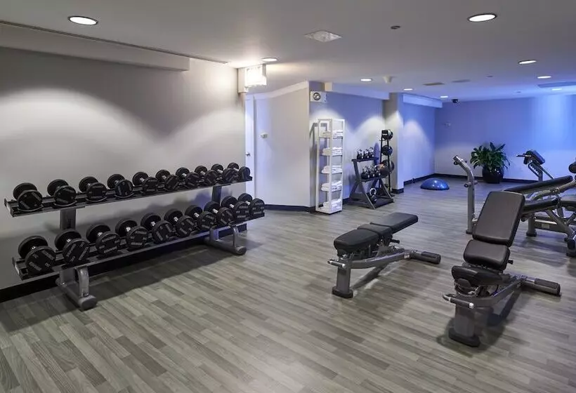 Fotos del hotel Warwick Allerton Chicago:  4