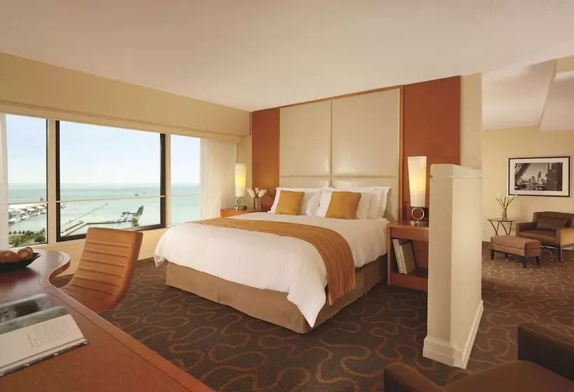 Fotos del hotel Swissotel Chicago:  19