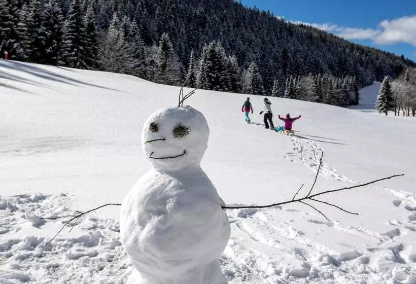 Fotos del hotel Family & Sporthotel Kärntnerhof:  15