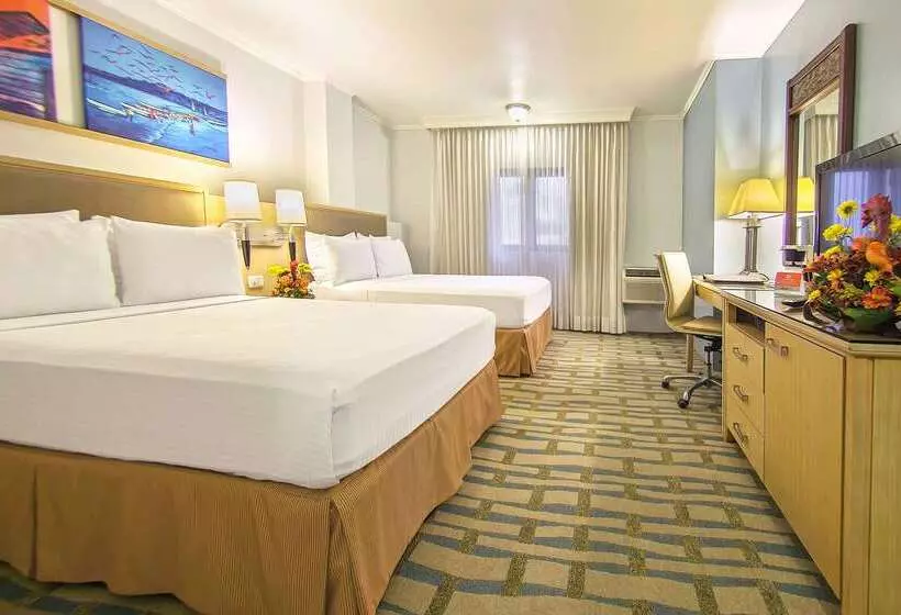 Grand  Guayaquil, Ascend  Collection