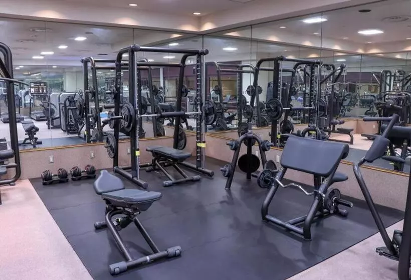 Fotos del hotel Premier  Tsubaki Sapporo:  4