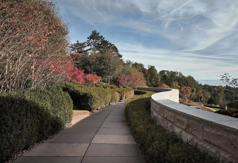 Fotos del hotel The Dolder Grand:  23