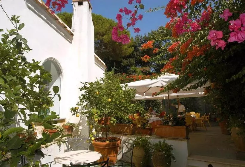 Fotos del hotel Canasta:  9