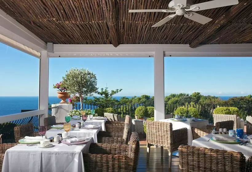 Fotos del hotel La Minerva:  21