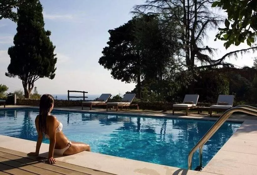 Fotos del hotel La Minerva:  2